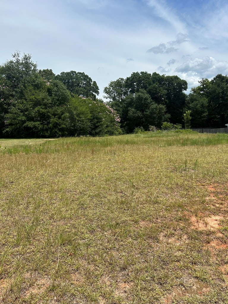 300 Rosa Lane, Midland City, AL 36350 - #2