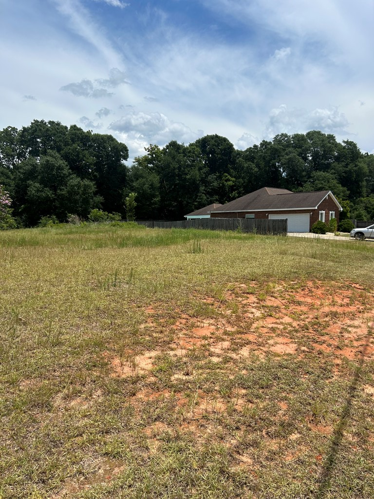 300 Rosa Lane, Midland City, AL 36350 - #3
