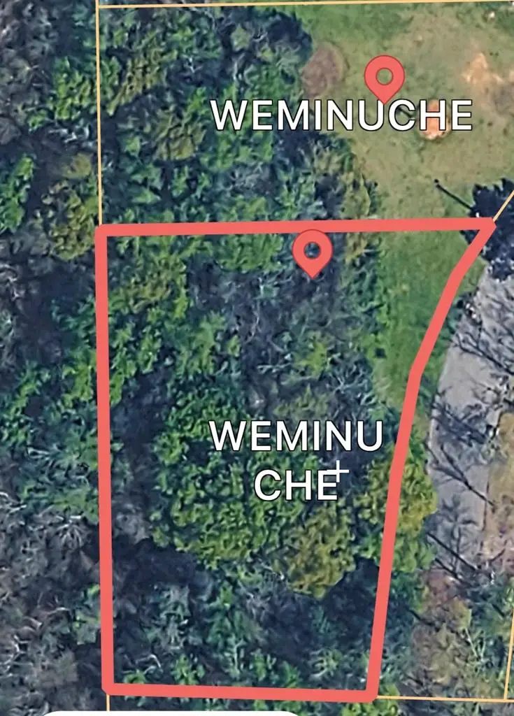 Lot 1 Carr Circle, Headland, AL 36345 - #1