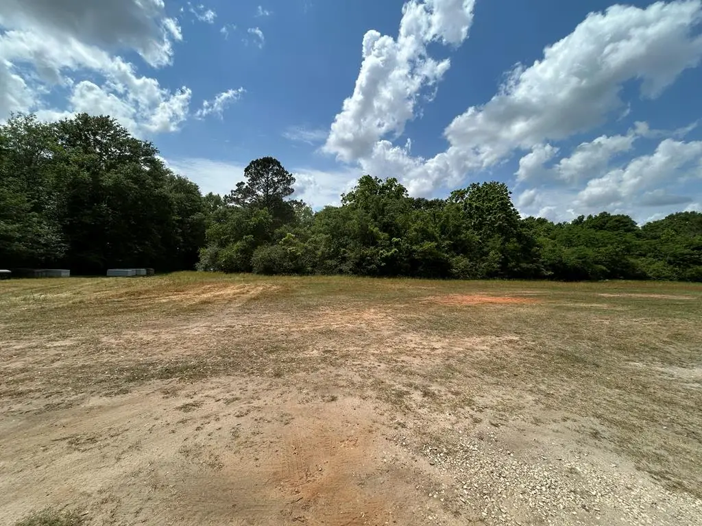 14+-ac W Industrial Dr (14+-ac), Headland, AL 36345 - #1
