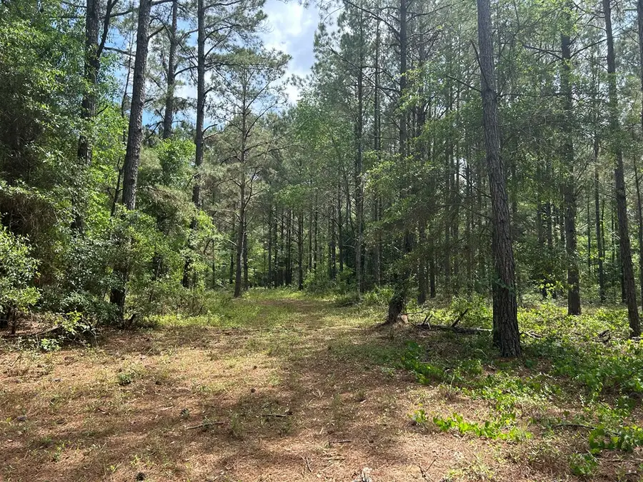 14+-ac W Industrial Dr (14+-ac), Headland, AL 36345 - #3