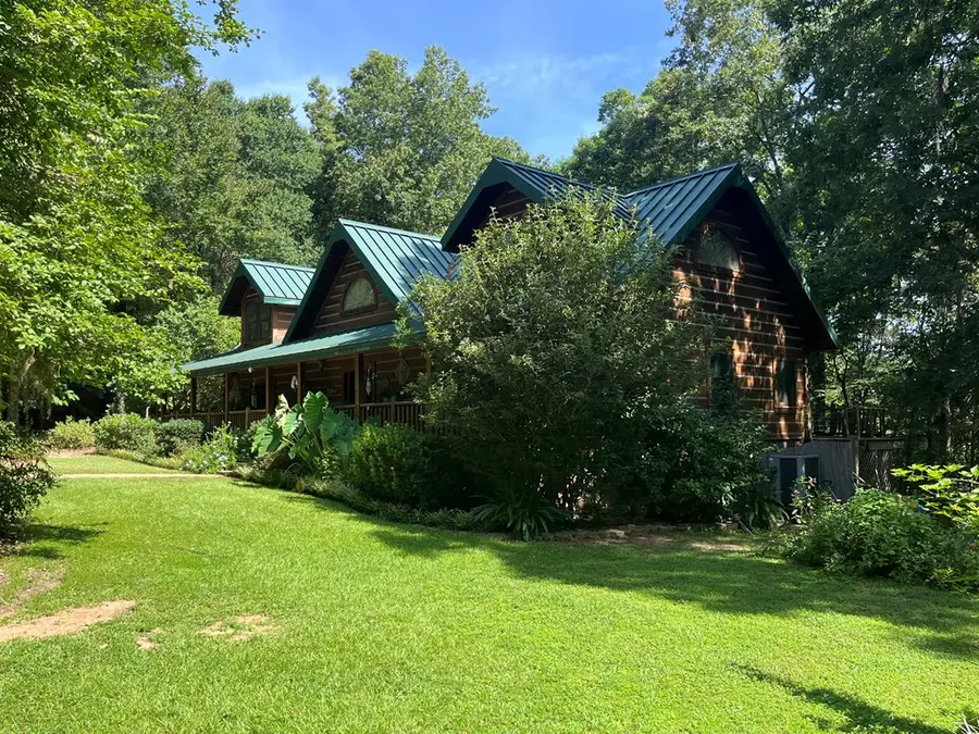 250 Moore Meadow Drive, Georgetown South, GA 39845 - #3