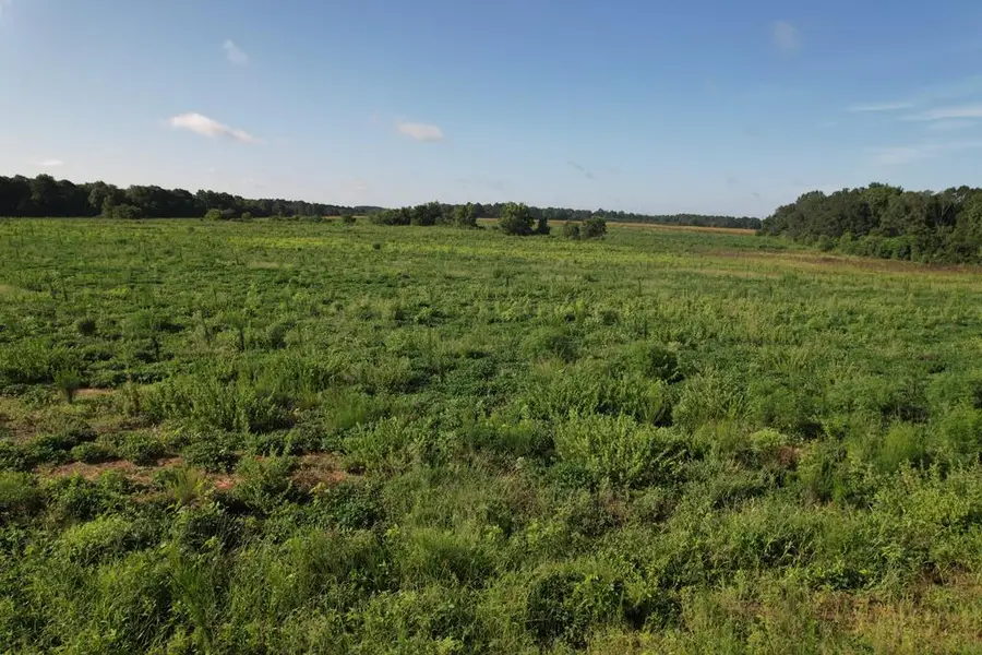 0 Judge Logue Road, Newton, AL 36352 - #3