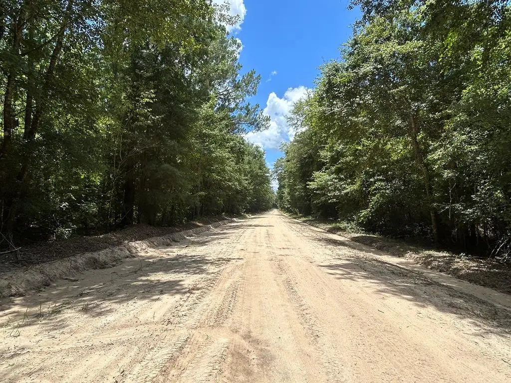 16+-ac Rammer Loop Rd, Cottonwood, AL 36301 - #1