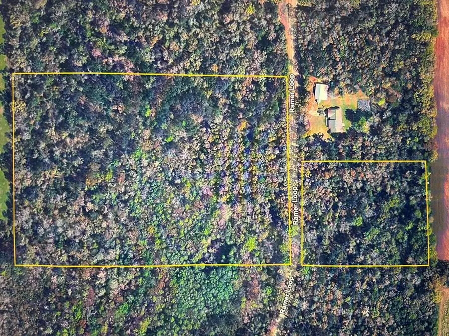 16+-ac Rammer Loop Rd, Cottonwood, AL 36301 - #2