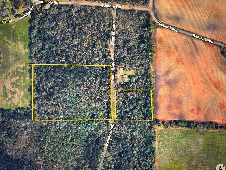 16+-ac Rammer Loop Rd, Cottonwood, AL 36301 - #3