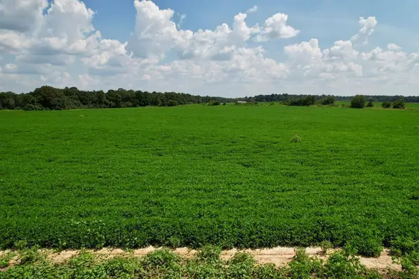 0 Judge Logue Road, Dothan, AL 36352