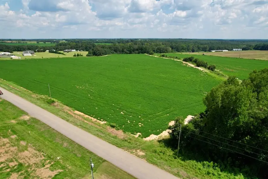 0 Judge Logue Road, Newton, AL 36352 - #2