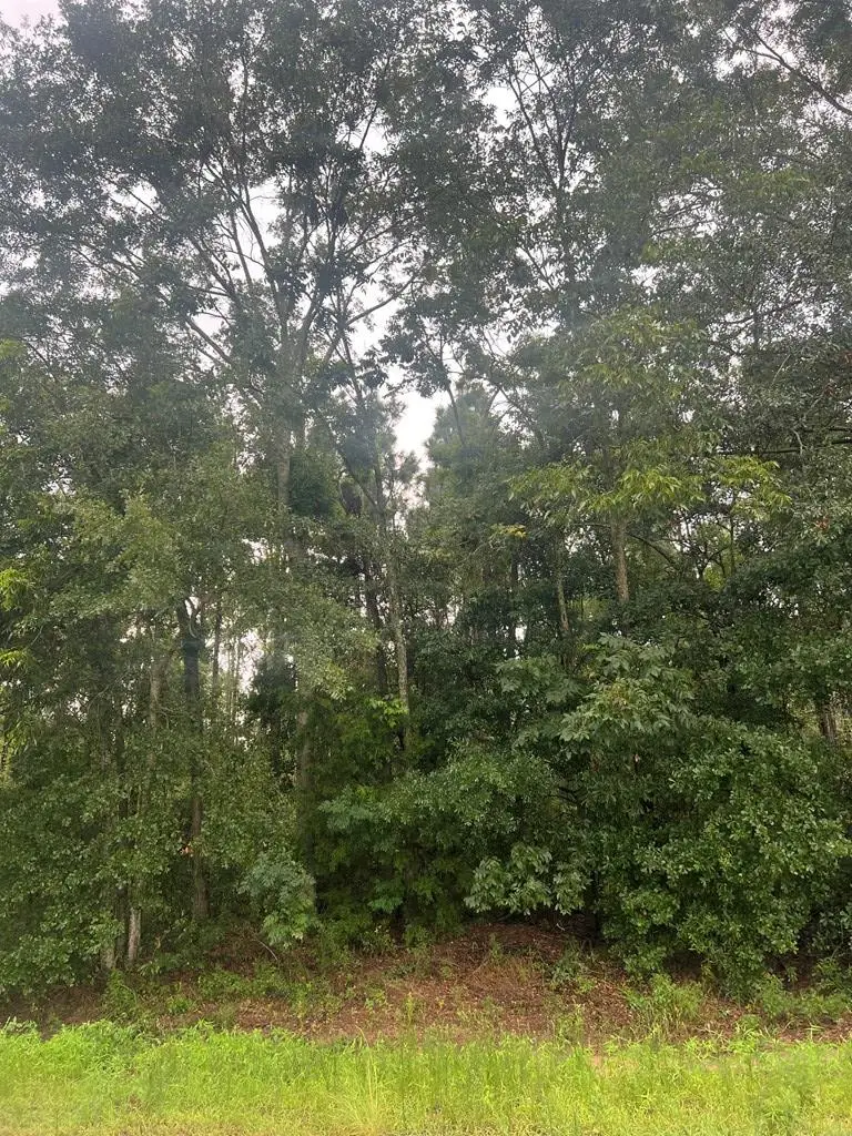TBD Parcel 3 Henry County Road 12, Headland, AL 36345 - #3