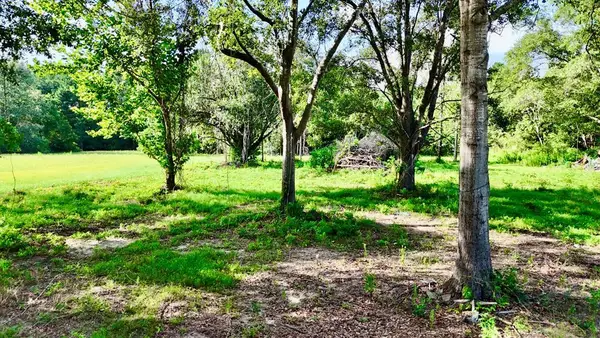 185 Cb Barnes Rd, Cottonwood, AL 36320