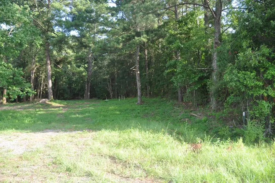110 Stroud, Elba, AL 36323 - #2