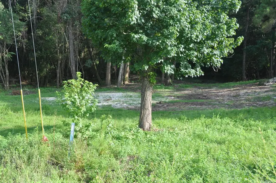 110 Stroud, Elba, AL 36323 - #3