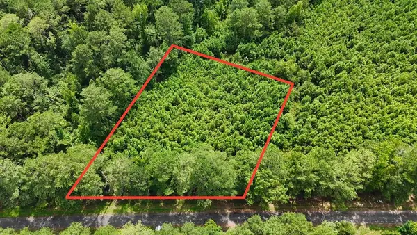 1.32 Acres County Road 7, Clio, AL 36017