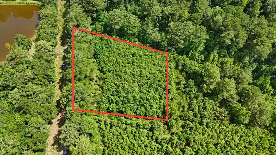 1.32 Acres County Road 7, Clio, AL 36017 - #3