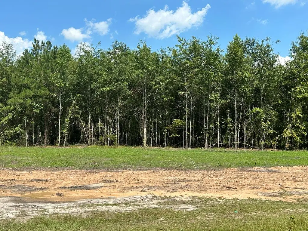 2 +-ac Cottonwood Rd (hwy 53), Cottonwood, AL 36320 - #1