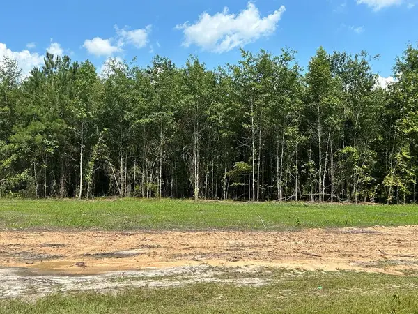 2 +-ac Cottonwood Rd (hwy 53), Cottonwood, AL 36320