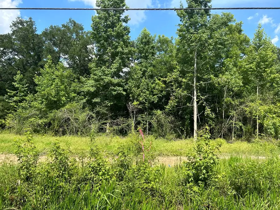 2 +-ac Cottonwood Rd (hwy 53), Cottonwood, AL 36320 - #2