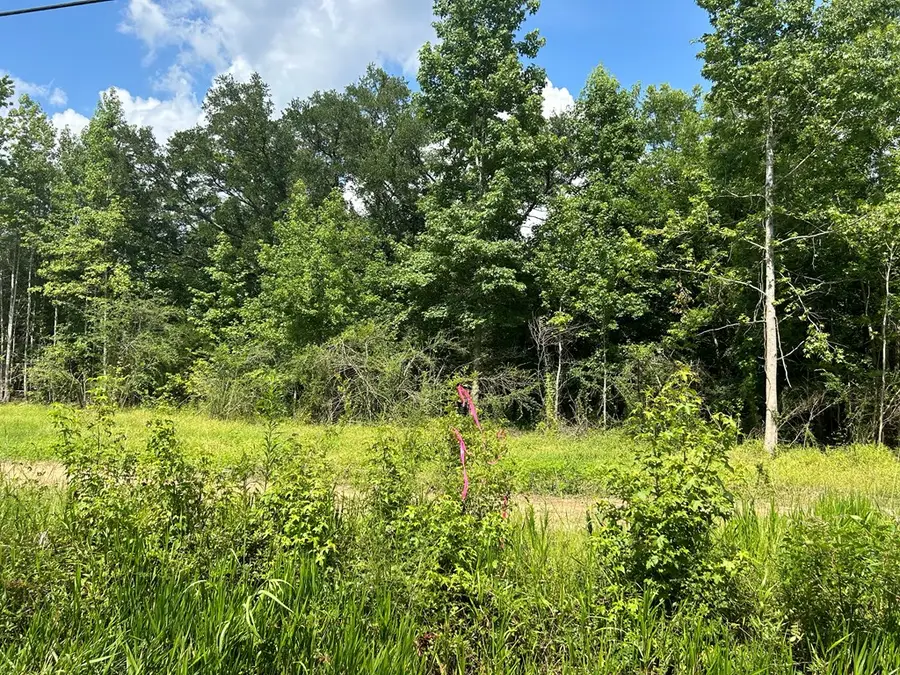 2 +-ac Cottonwood Rd (hwy 53), Cottonwood, AL 36320 - #3