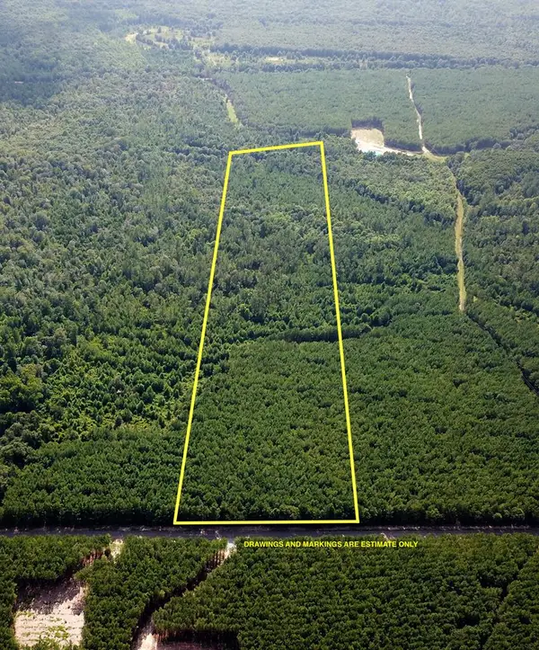 22.656 Acres Tract 13 Mt Zion Rd, Cottonwood, AL 36320
