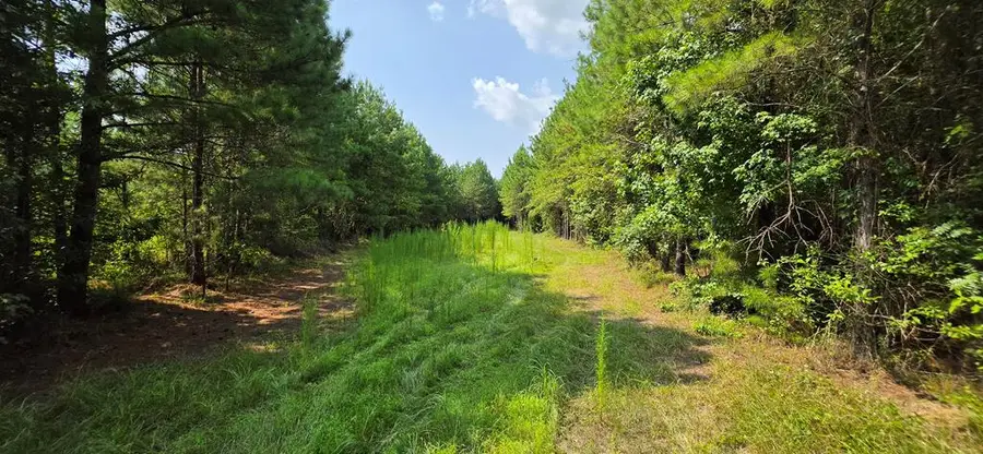22.656 Acres Tract 13 Mt Zion Rd, Cottonwood, AL 36320 - #2