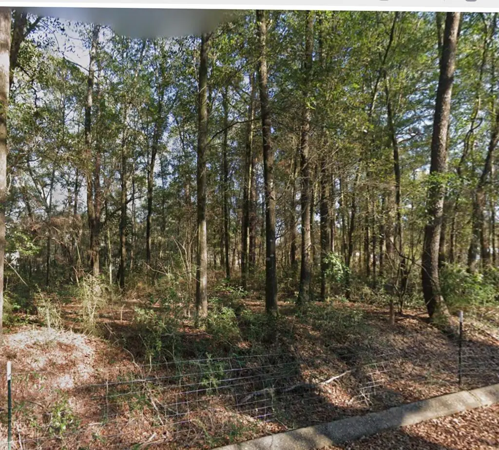Lot 62 Myrtle Street, Level Plains, AL 36322 - #1