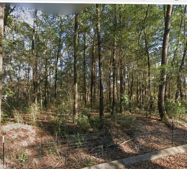 Lot 62 Myrtle Street, Level Plains, AL 36322