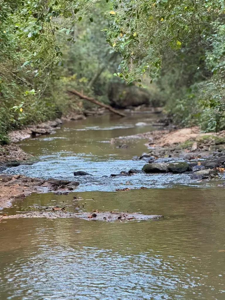 Lot 62 Myrtle Street, Level Plains, AL 36322 - #2