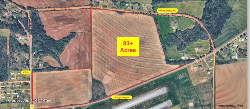83+ Acres  0 Judge Logue Rd, Newton, AL 36352 - #1