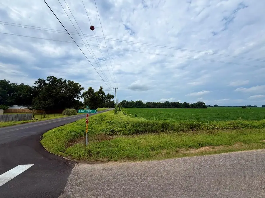 83+ Acres  0 Judge Logue Rd, Newton, AL 36352 - #3