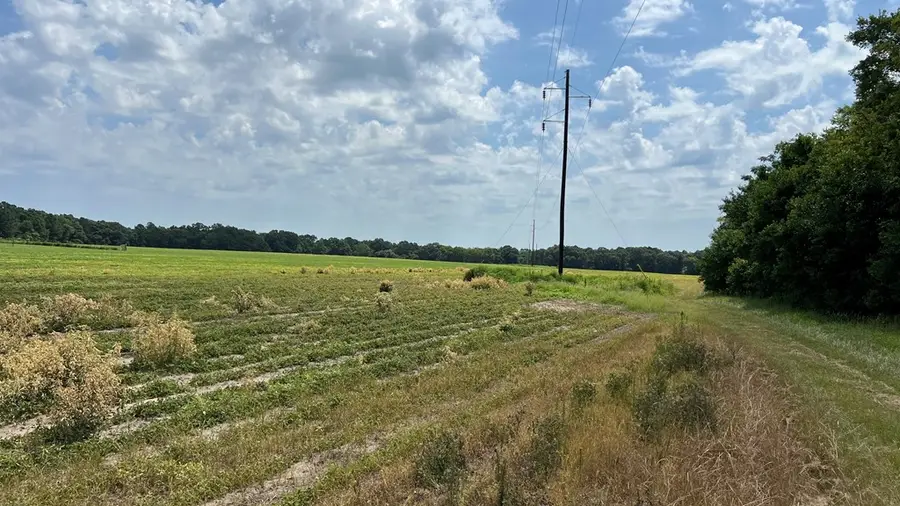 0 County Road 13 (84+- Acres), Headland, AL 36345 - #3