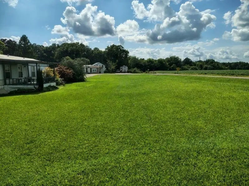 535 County Rd 1289, Vinemont, AL 35179 - #3