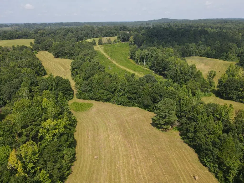 4559 County Road 349, Elba, AL 36323 - #1