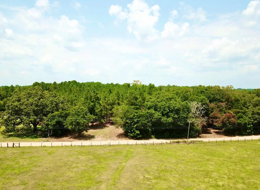 3.14 Acres Corbin Rd, Newton, AL 36352 - #1