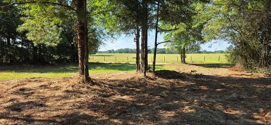 3.14 Acres Corbin Rd, Newton, AL 36352 - #2