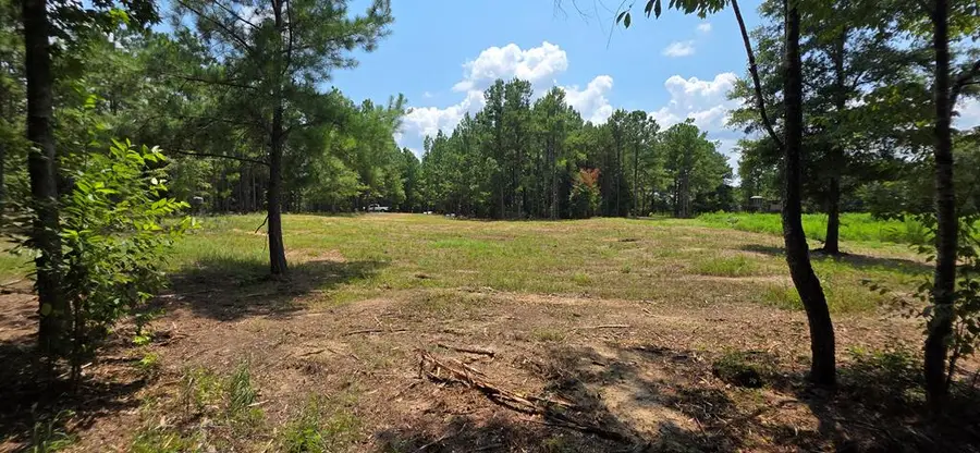 3.14 Acres Corbin Rd, Newton, AL 36352 - #3