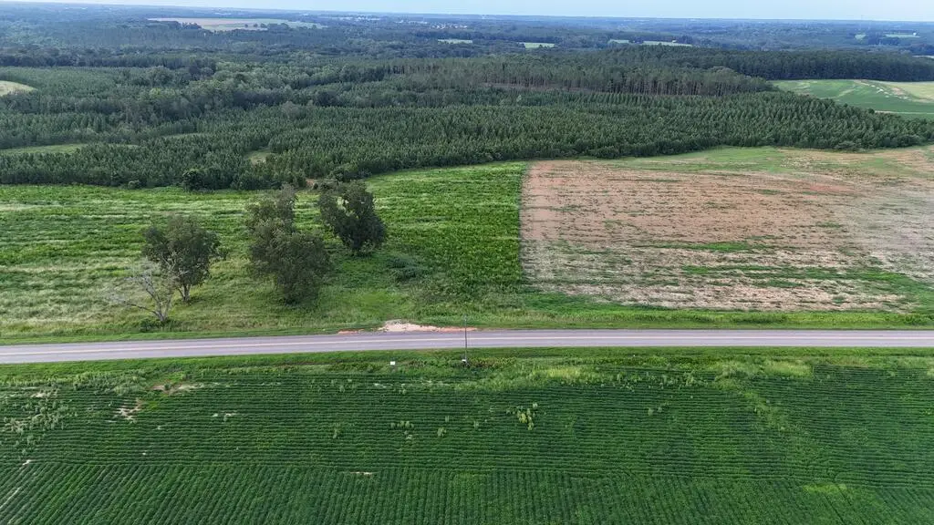 0 County Road 22 (lot 6), Headland, AL 36345 - #1