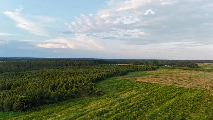0 County Road 22 (lot 6), Headland, AL 36345 - #2