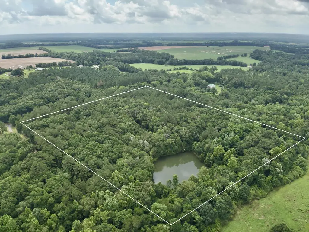 22 Acres Private Road 1702, Daleville, AL 36322 - #1