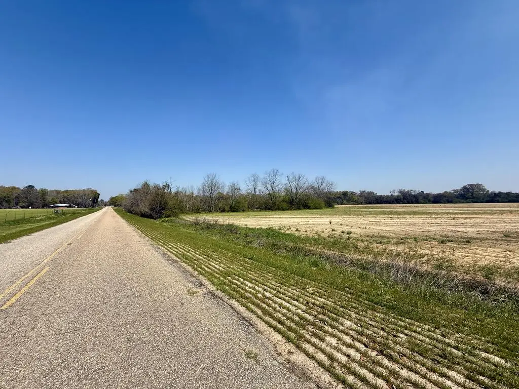 13 Acres Creek Church Road, Pansey, AL 36370 - #1
