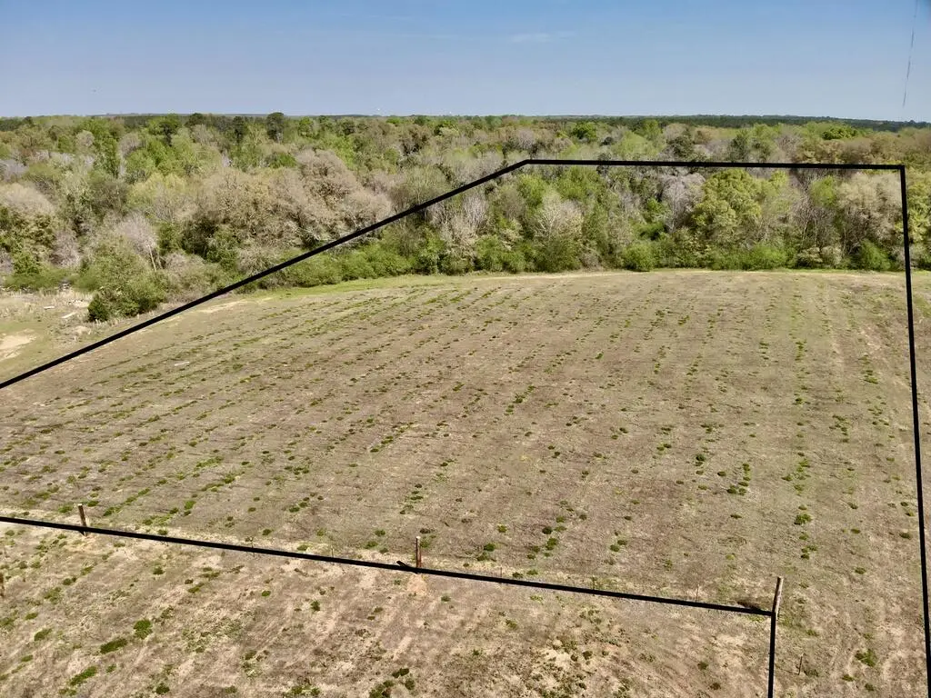 8.53 Acres Omussee Road, Dothan, AL 36303 - #1