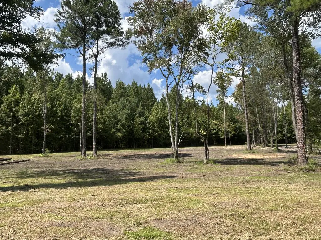644 Case Rd, Slocomb, AL 36375 - #1