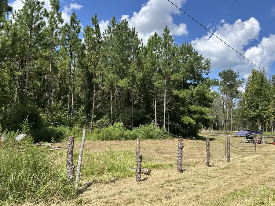 644 Case Rd, Slocomb, AL 36375 - #2