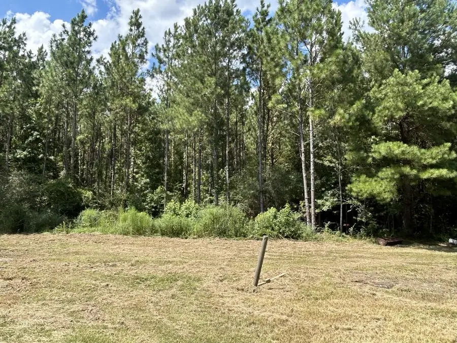 644 Case Rd, Slocomb, AL 36375 - #3