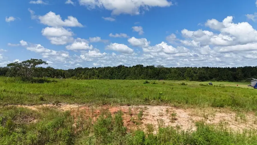2654 New Hinson Road, Slocomb, AL 36375 - #3