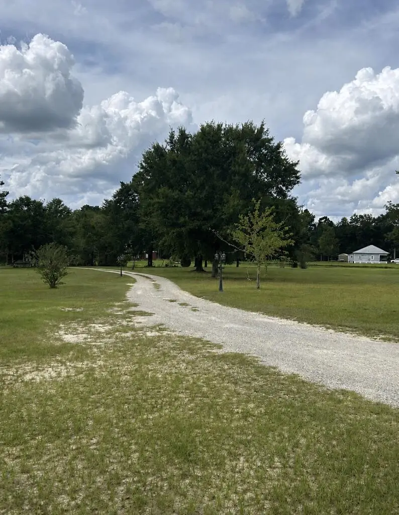 997 Glen Lawrence Rd, Cowarts, AL 36321 - #2