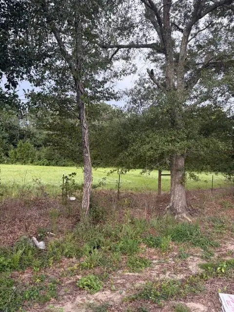 0 State Highway 103 Lot 2, Slocomb, AL 36375 - #2