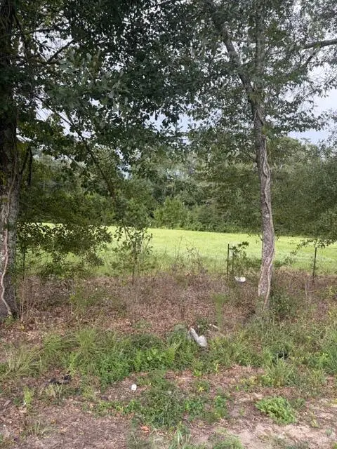 0 State Highway 103 Lot 2, Slocomb, AL 36375 - #3