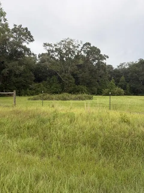 0 State Highway 103 Lot 3, Slocomb, AL 36375