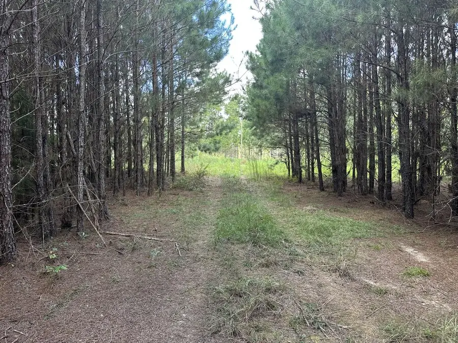 00 County Road 61, Columbia, AL 36319 - #2