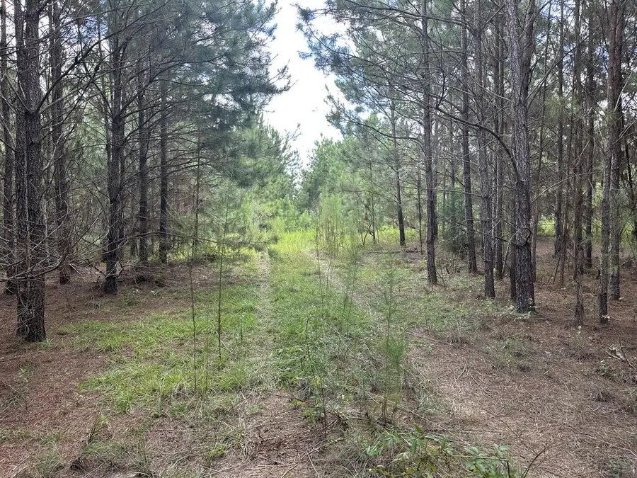 00 County Road 61, Columbia, AL 36319 - #3